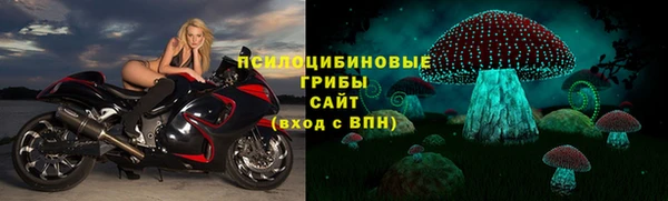 дмт Балахна