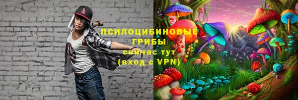гашик Балабаново