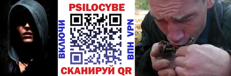 как найти наркотики  Красновишерск  Псилоцибиновые грибы прущие грибы 